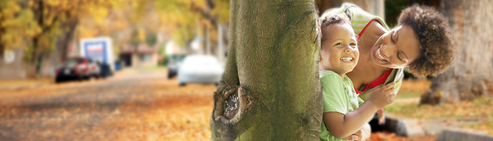 Tree_lined_street